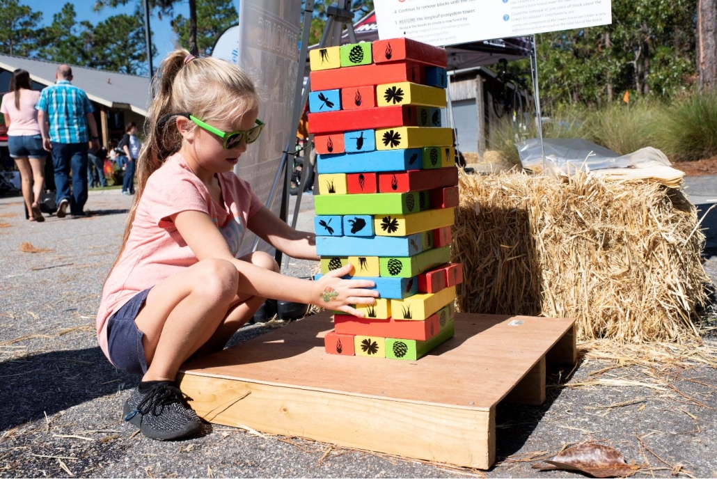 ecosystem jenga