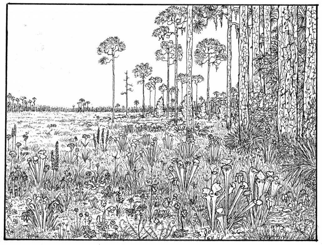 coloring sheet