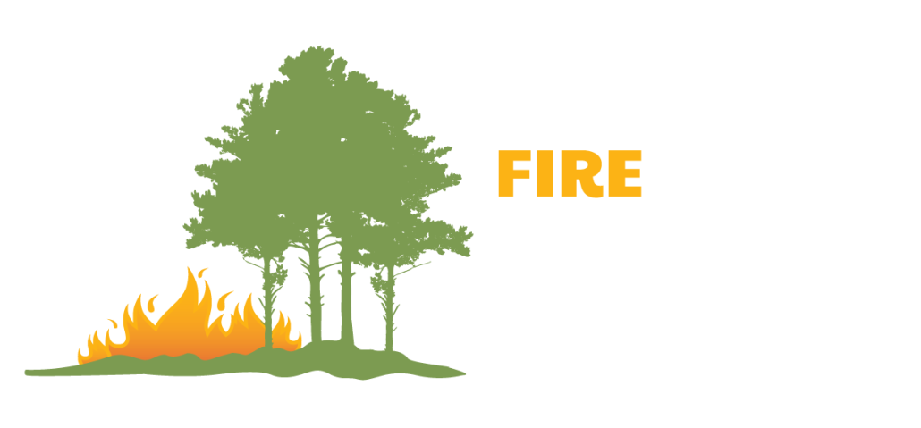 Fire in the Pines Festival